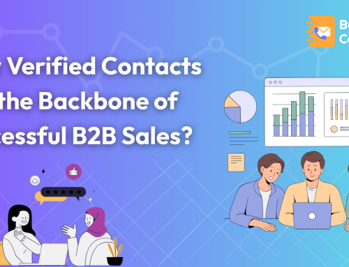 Why Verified Contacts Are the Backbone of Successful B2B Sales?