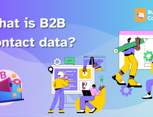 What is B2B Contact Data? From Definition to Actionable Insights
