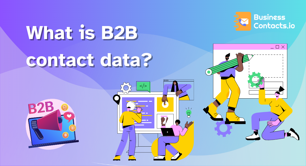 What is B2B Contact Data?